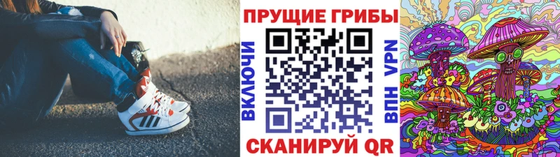Псилоцибиновые грибы Psilocybe  купить наркотик  Калининград 