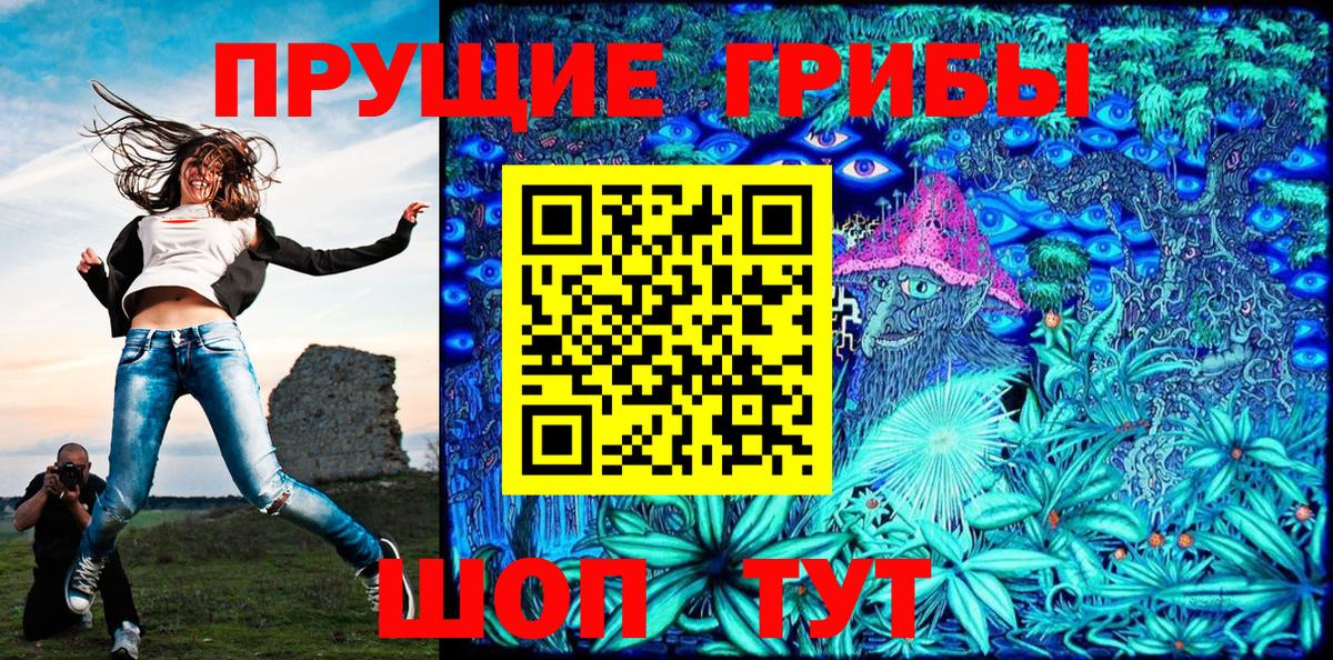 Калининград  Галлюциногенные грибы Psilocybe  Вход с VPN 