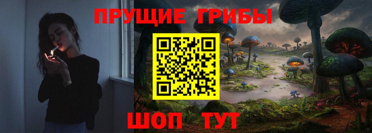 Галлюциногенные грибы Psilocybe Калининград