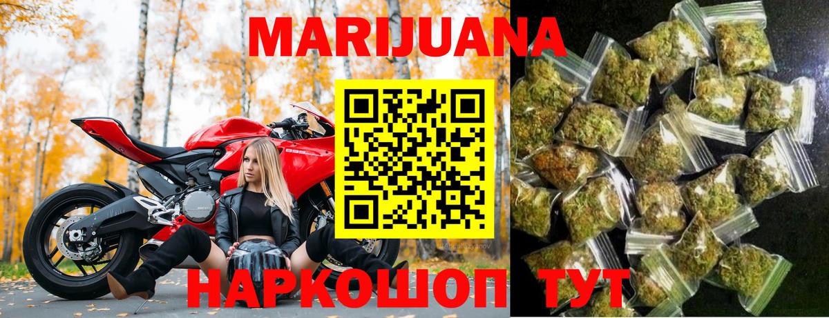Каннабис конопля Калининград